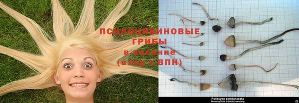 стафф Абаза