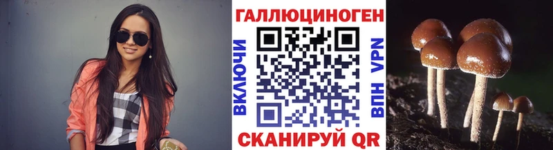 Галлюциногенные грибы GOLDEN TEACHER  купить закладку  KRAKEN ССЫЛКА  Новое Девяткино 